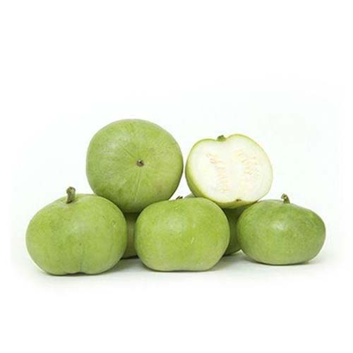 Apple Gourd (Tinda)