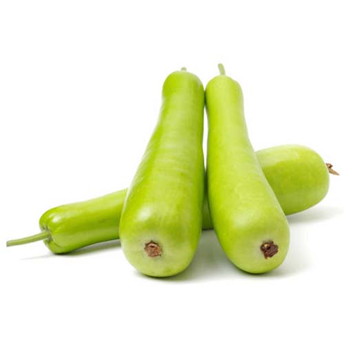 Bottle Gourd