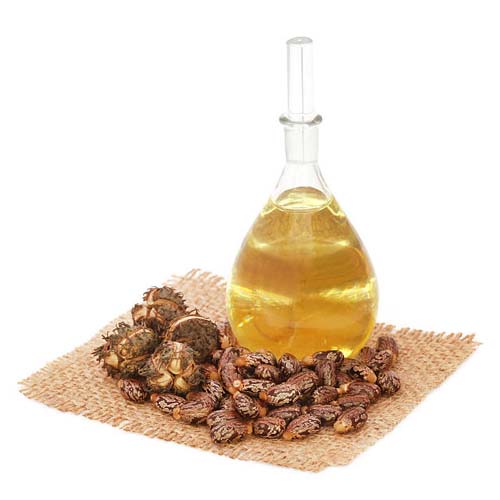 Castor Seeds