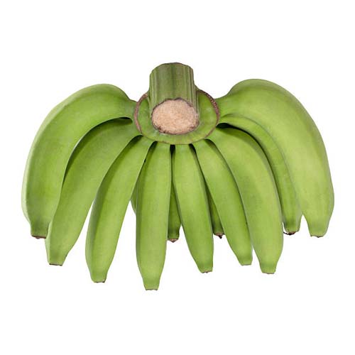 G9 Cavendish Banana