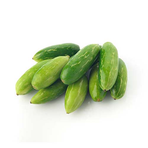 Coccinia ( Kundru )