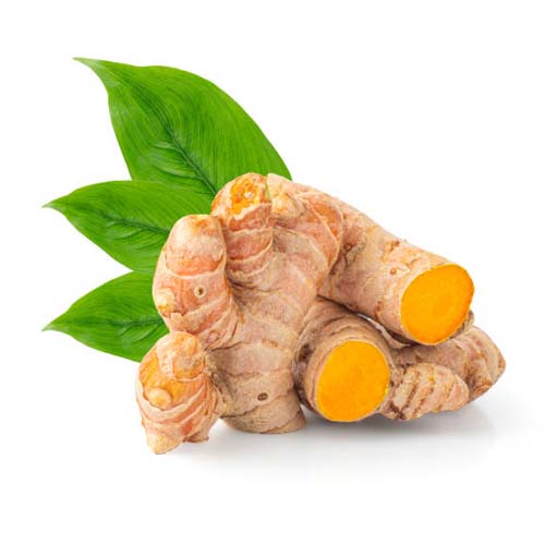 Fresh Turmeric