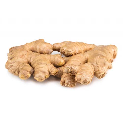 Ginger