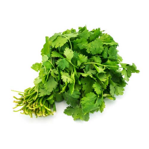Green Coriander (Dhaniya)