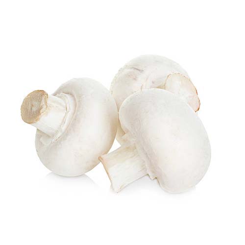 Mashrooms