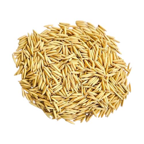 Pusa Basmati Rice