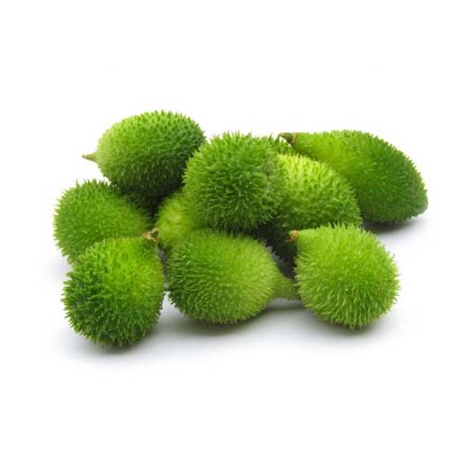 Spiny Gourd (Kantola)