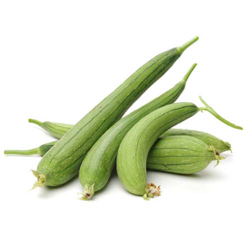 Sponge Gourd